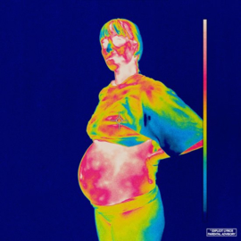 Brockhampton - Iridescence | 2LP