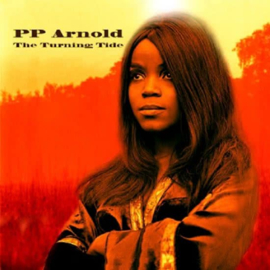 PP Arnold - Turning tide | CD