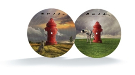 Rush - Signals | LP -Picture disc-