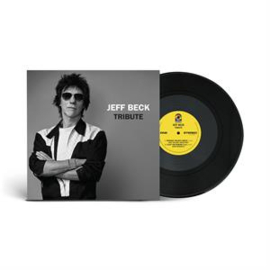 Jeff Beck - Tribute | 12" EP