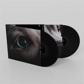 Roger Waters - Dark Side of the Moon Redux | LP