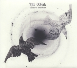 Coral - Distance inbetween  | CD