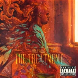 Mr. Probz - The treatment | CD