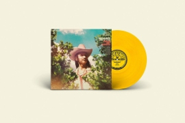 Duane Betts - Isle of Hope | LP -Coloured vinyl-