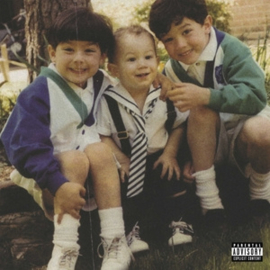 Jonas Brothers - The Family Business | LP