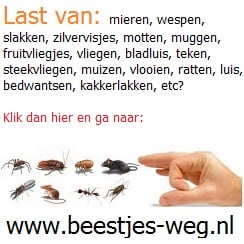Ga naar www.beestjes-weg.nl
