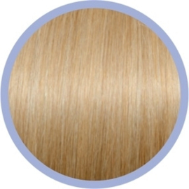 HairXpression kleur 24