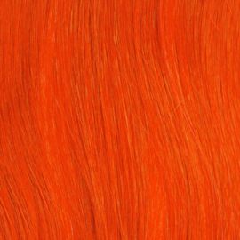 Fantasay colors sun orange