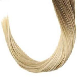Wire Hair Balayage 6/613