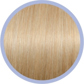 HairXpression kleur 22