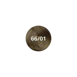 66/01 Natural Deep Cool Dark Blonde