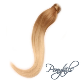 ponytail  Ombre #6/613