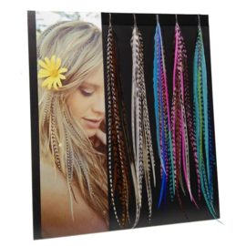 feather display