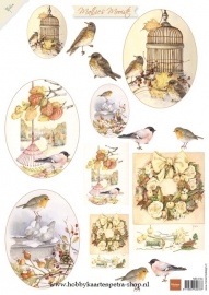 Mattie's mooiste Autumn birds MB0154