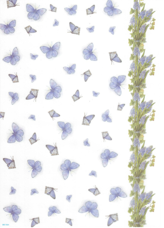 MB7004 Mattie's Vellum - Vlinders met blauwe druifjes