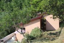 Dolceacqua | Cottage omgeven door olijfgaarden |  € 269.000,--