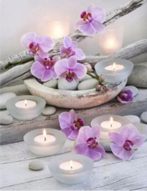 B.13 Roze Orchidee schaal & Waxinelichtjes