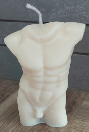 Torso