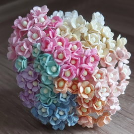 Sweetheart Blossoms in diverse kleuren - 10 mm