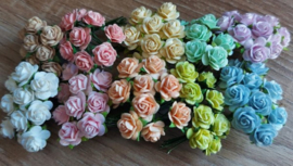 Mixed 10 - Pastel Open Roses
