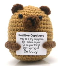 Geluksknuffeltje "Positive Capybara" S