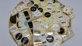 Leuke set met 100 stickers
