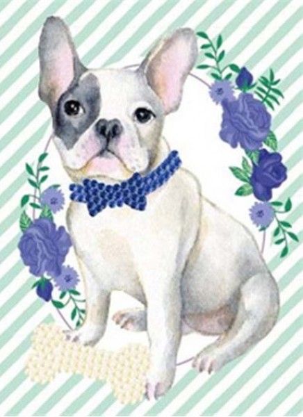 Diamond Paintingset hond
