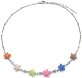 Ketting RVS zeester zilver