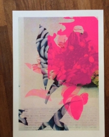 Fruit bowl with Flowers (pink)