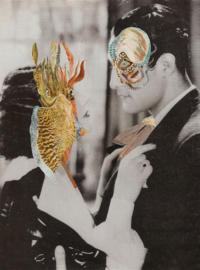 sea creatures
