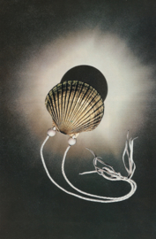 Eclipse 2