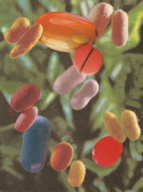 Silky Pills