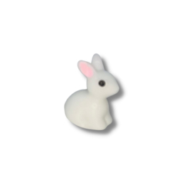 Miniatuur konijn