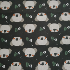 K150 (koala)