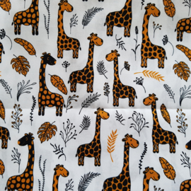 K140 (giraffes)