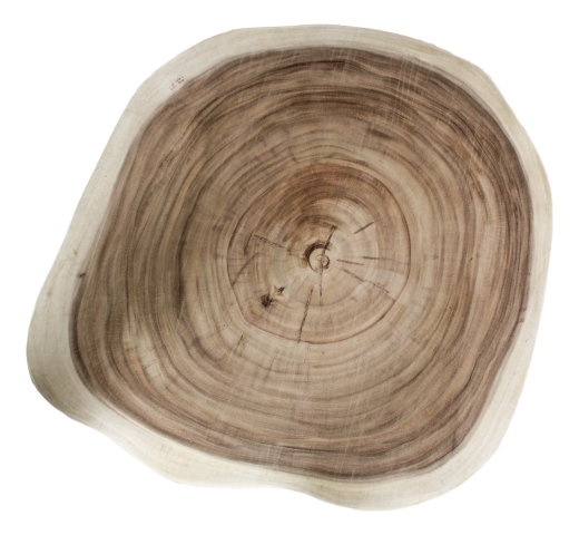 Bijzettafel Rond Boomschijf 50cm