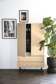 Kabinet Thomas 95x170
