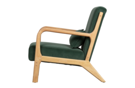 Fauteuil Mark flesgroen