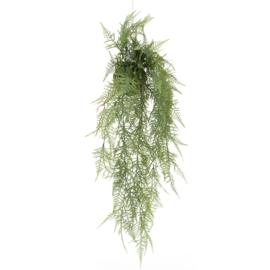 Plant - Hangvaren 75cm