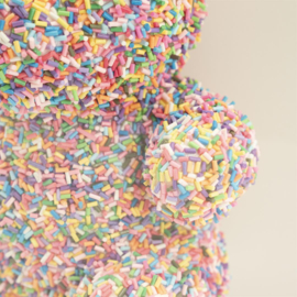 Beary - clear-