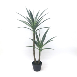 Yucca 112cm