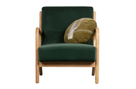 Fauteuil Mark flesgroen