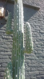 Fake Cactus 255cm