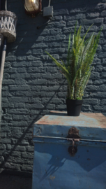 Fake plant 76cm