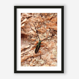 Art print "High On Life Insect"