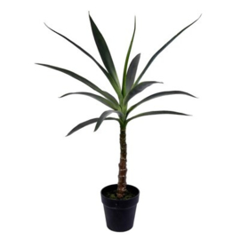 Plant - Yuka 1 stam 90cm