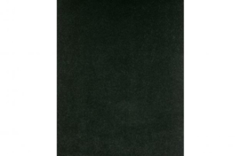 Eetkamerstoel Admit zwart velvet
