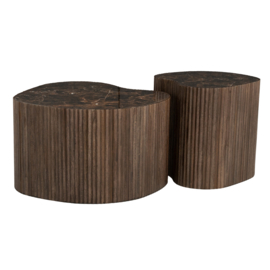 Nice ( set of 2) bruin