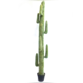 Fake Cactus 255cm