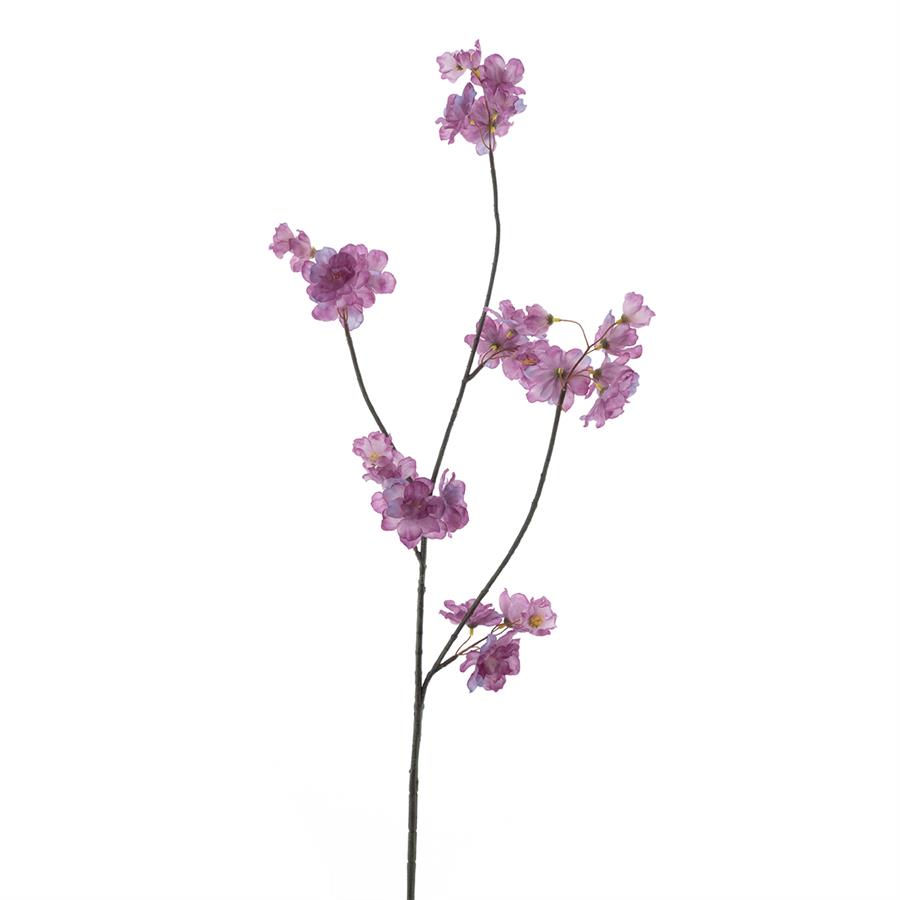 Prunus Malaga  Lavendel 84cm